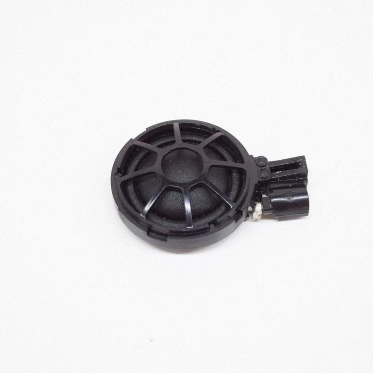 Front door speaker 100483300A