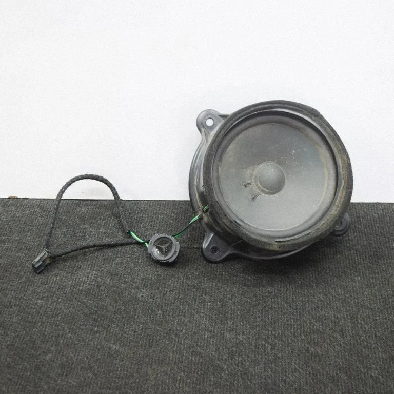 Front door speaker