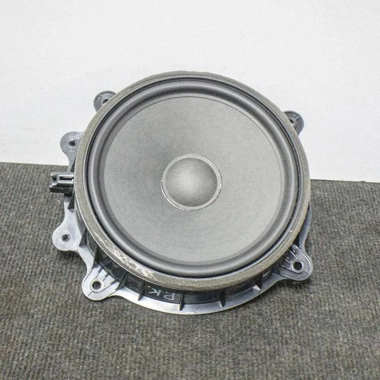 Front door speaker 107974400D