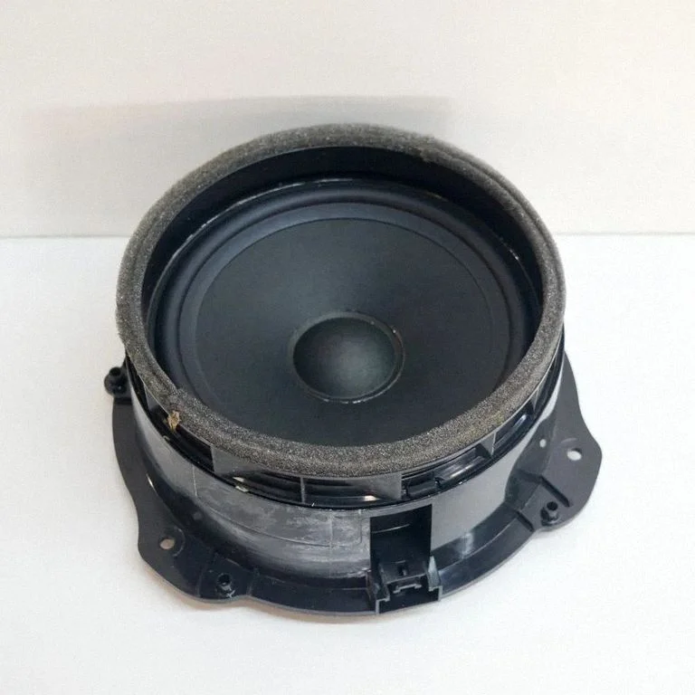 Głośnik w drzwiach przednich 430407771353