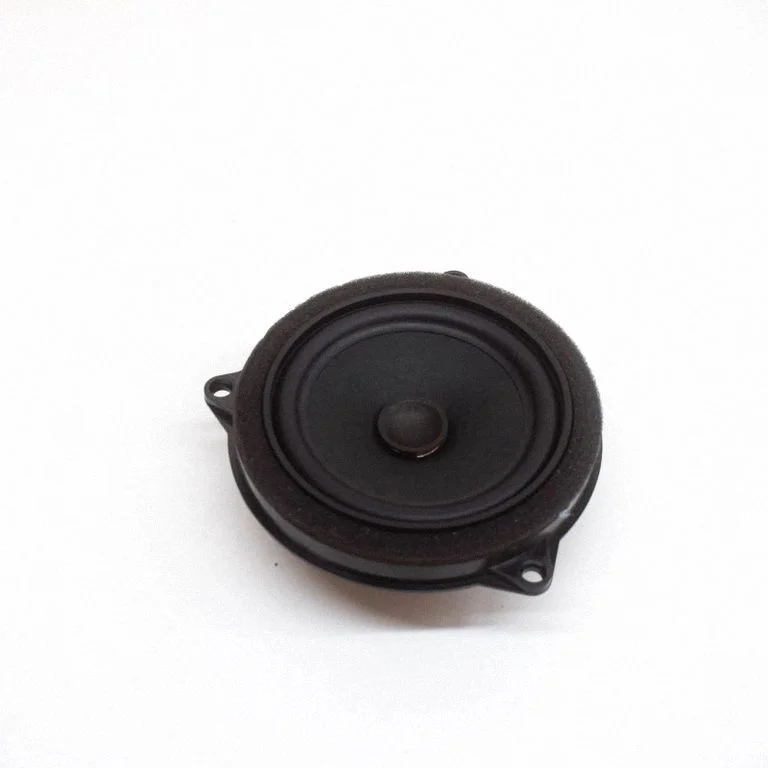 Skaļrunis (-ņi) priekšējās durvīs 6809626