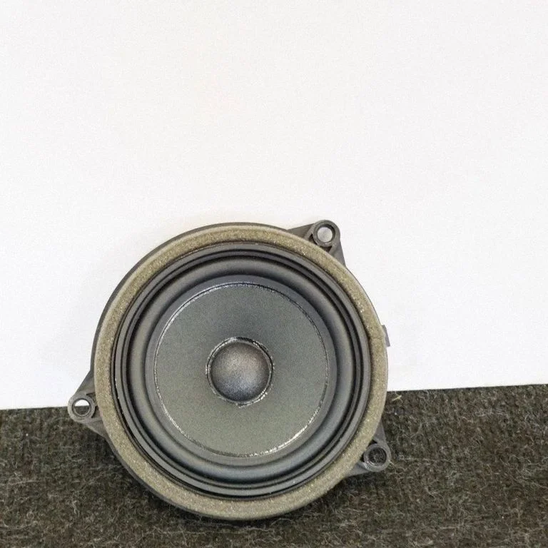 Skaļrunis (-ņi) priekšējās durvīs 9274700