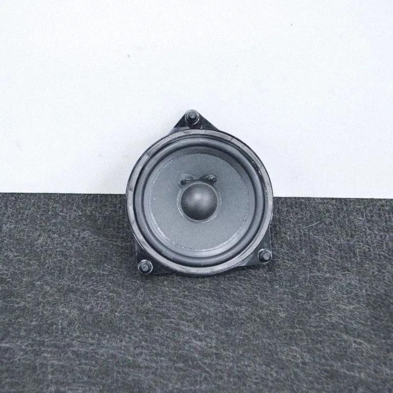 Skaļrunis (-ņi) priekšējās durvīs A2138201000