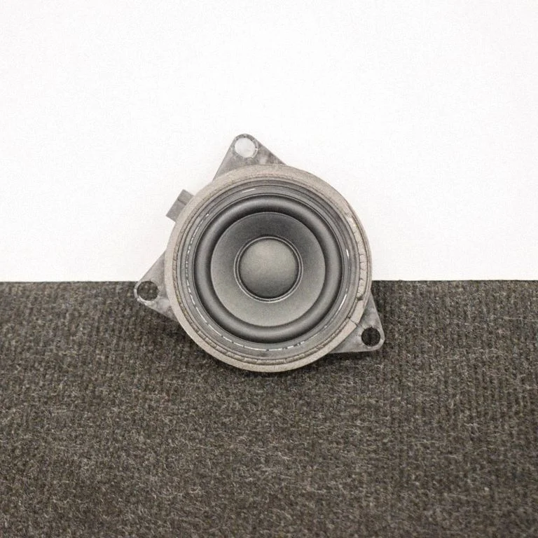 Front door speaker 31350427