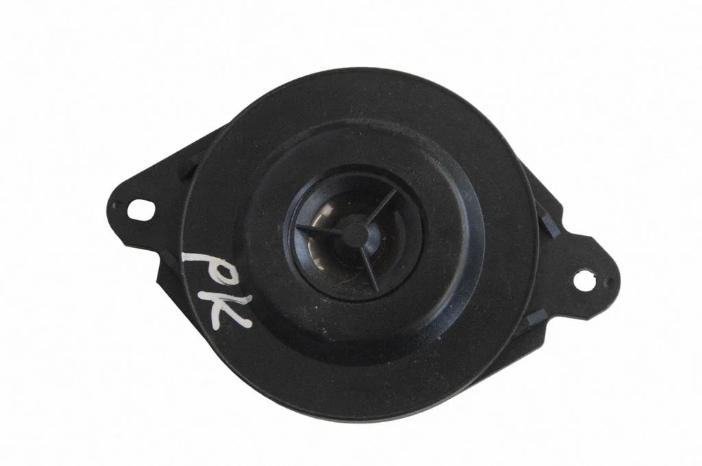 Skaļrunis (-ņi) priekšējās durvīs NE5166960