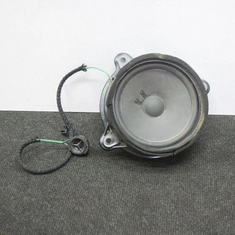 Front door speaker