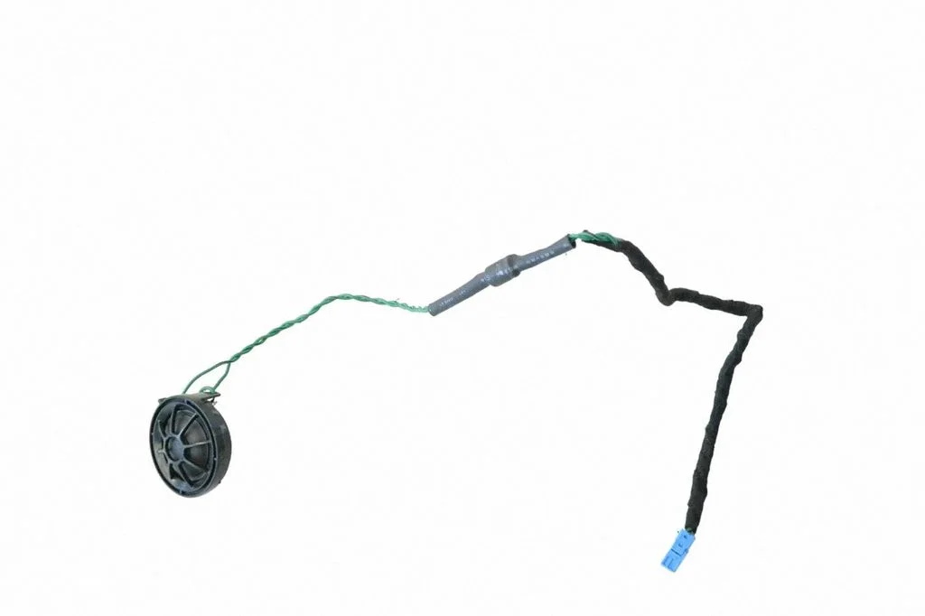 Front door speaker 9248716