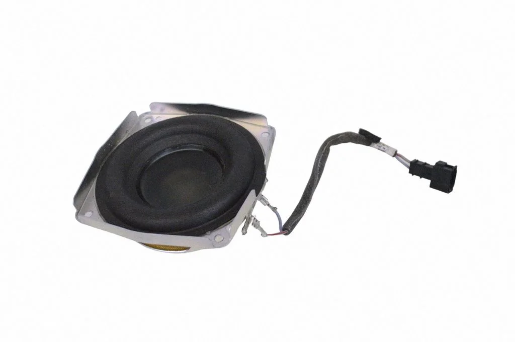 Front door speaker 317822001760392