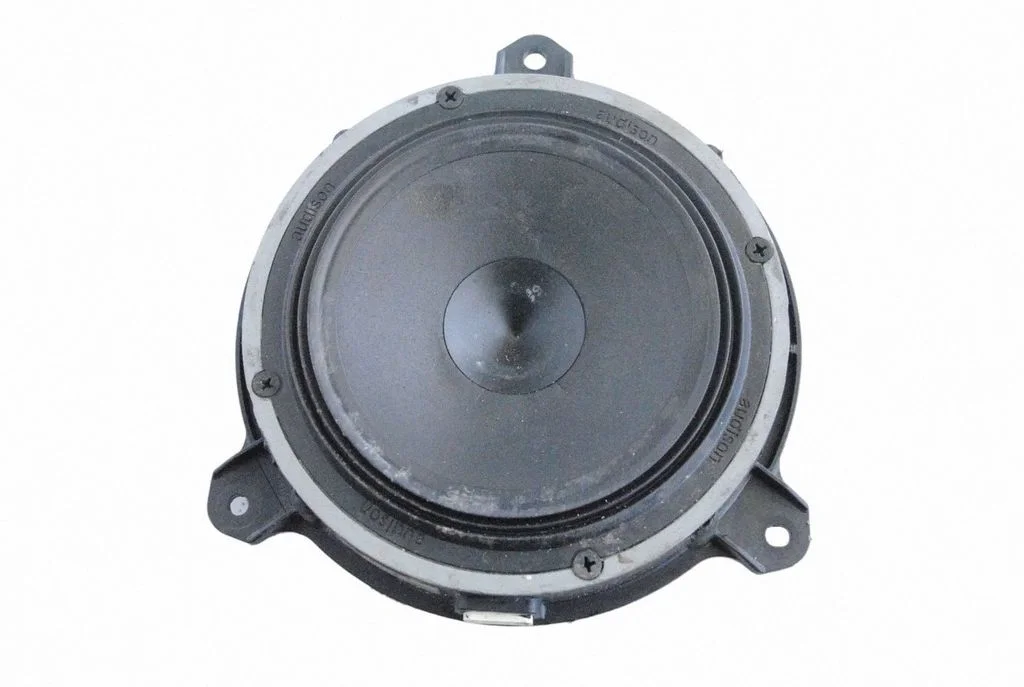 Skaļrunis (-ņi) priekšējās durvīs 9941003701A