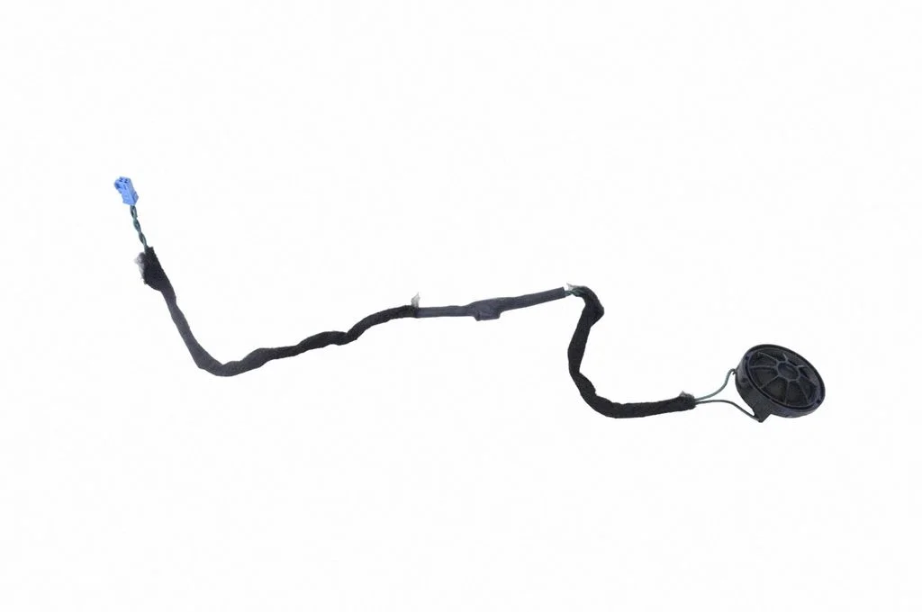 Skaļrunis (-ņi) priekšējās durvīs 9248716