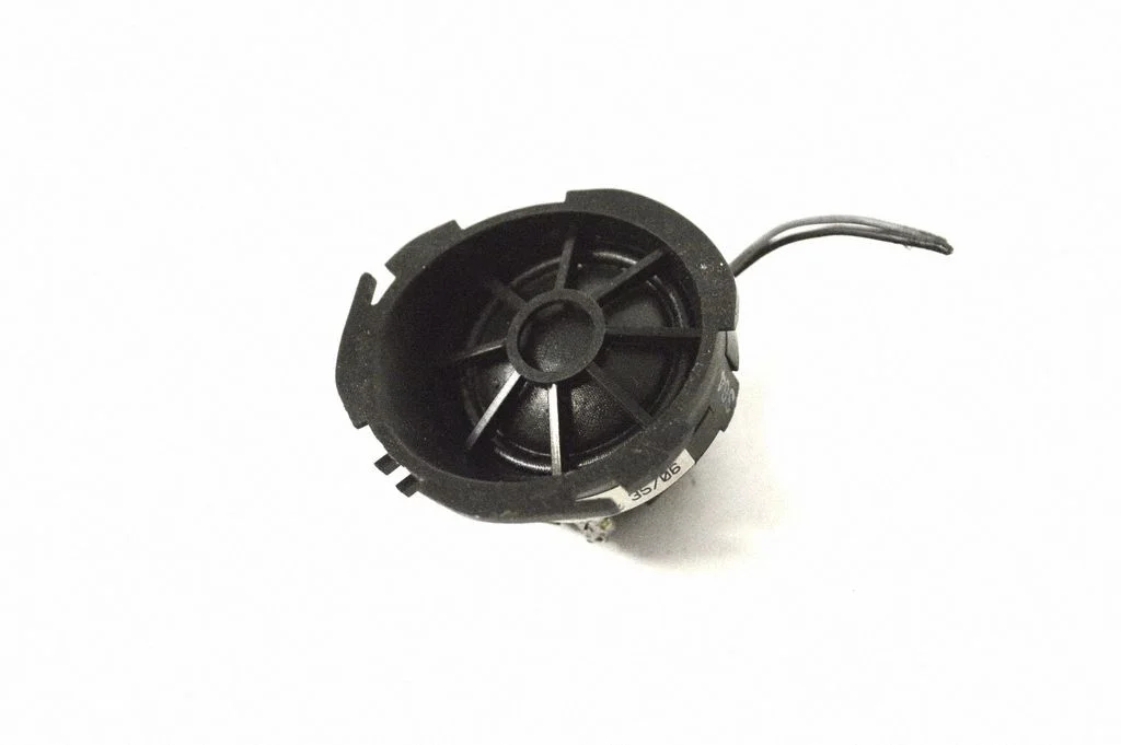 Skaļrunis (-ņi) priekšējās durvīs 8P0035399A