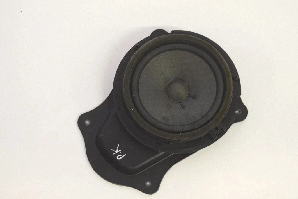 Skaļrunis (-ņi) priekšējās durvīs AA6T18808AA