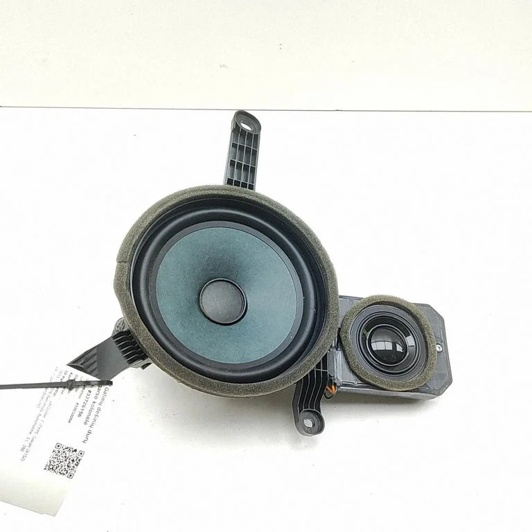 Subwoofer speaker EX5318808BD