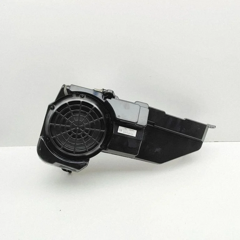 Subwoofer speaker 6251310010