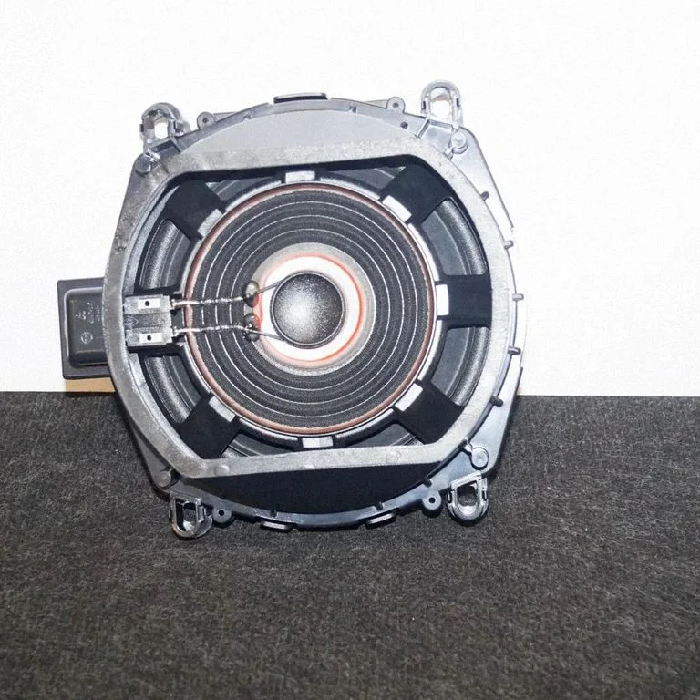 Subwoofer speaker – BMW X3 F25 (2010-2017)