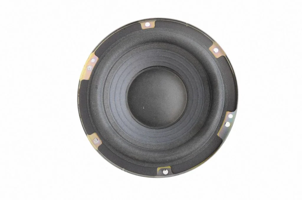 Subwoofer speaker FR3T19A067AC