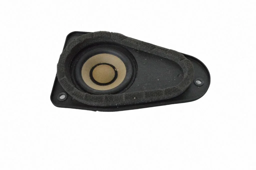 Skaļrunis panelī 31350622