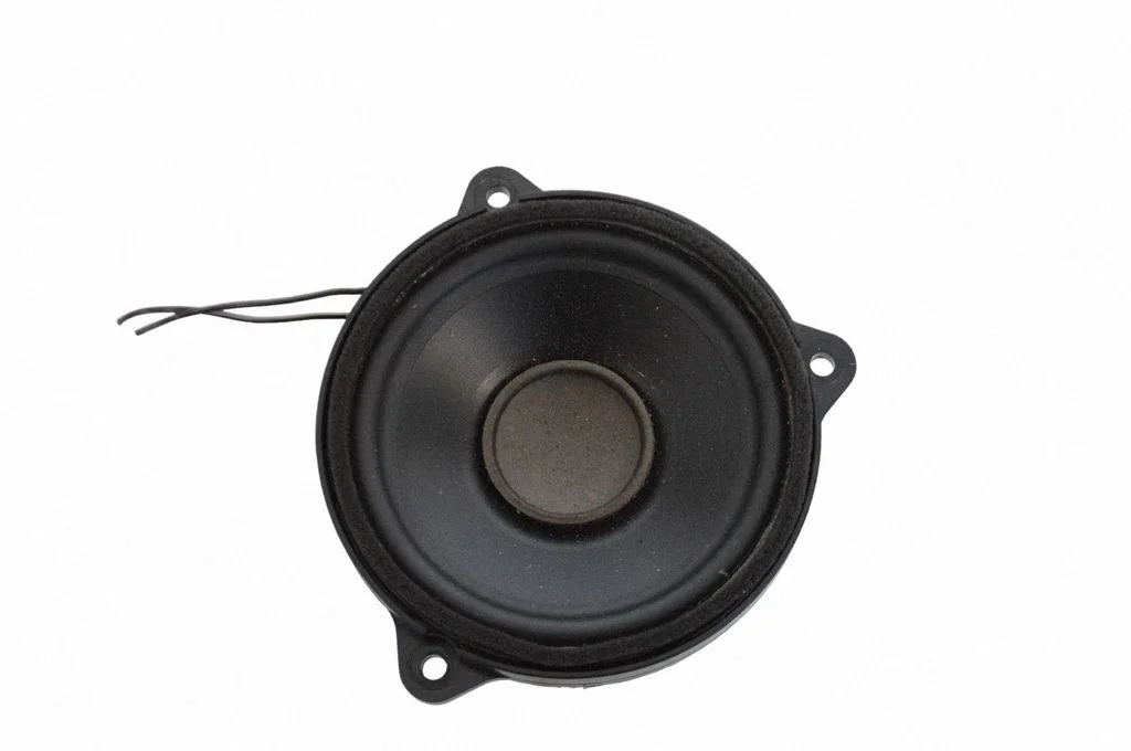 Skaļrunis panelī GX7318808EA