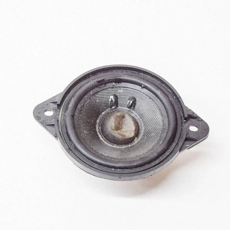 Skaļrunis panelī 8R0035416