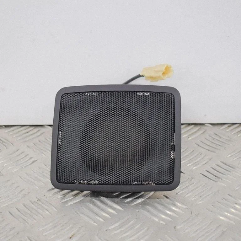Skaļrunis panelī 676401004F151