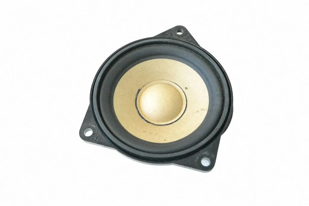 Panel speaker 9169689