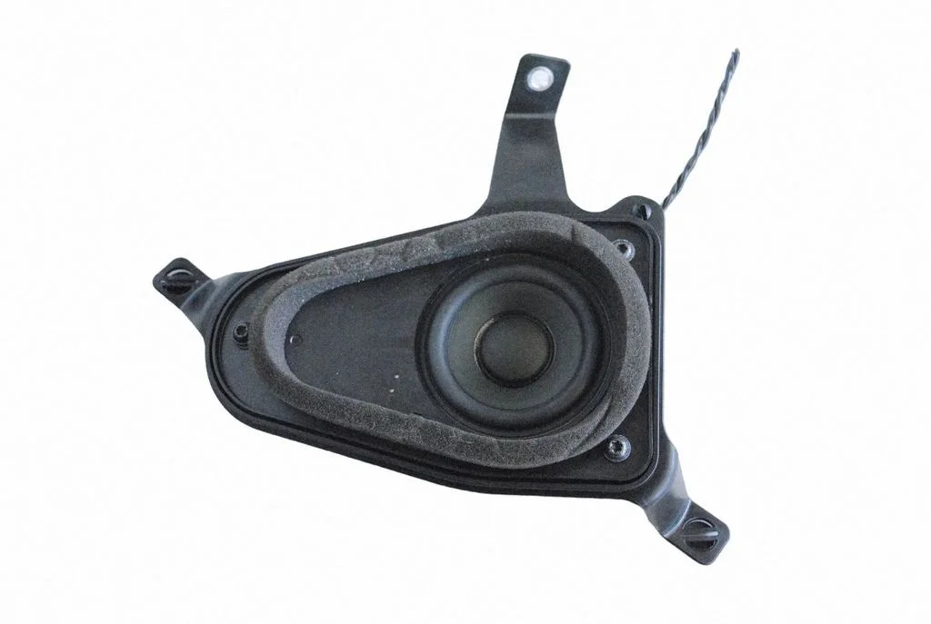 Panel speaker 31350622