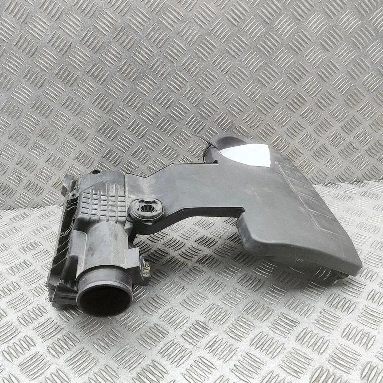 Õhufiltri korpus 165008735R