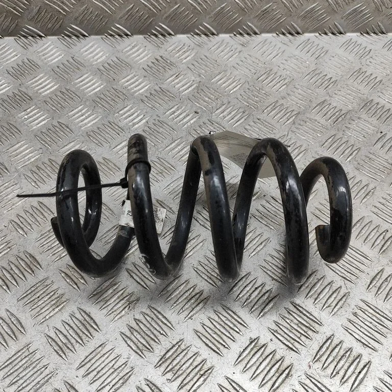 Rear coil spring 8847558