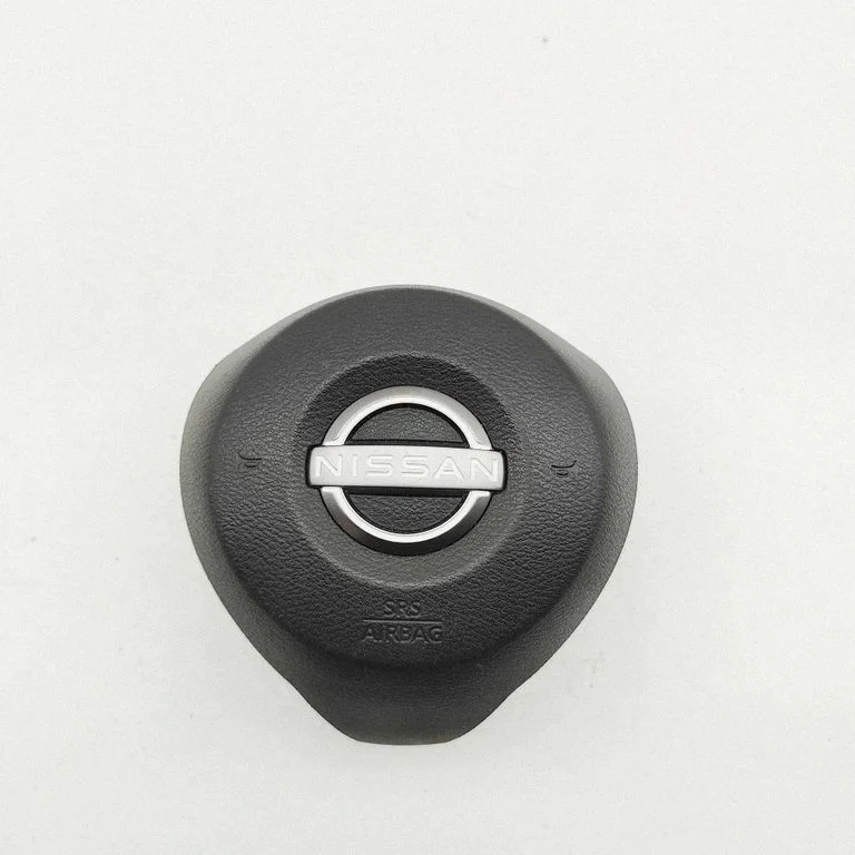 Rooli turvapadi – Nissan Leaf II (ZE1) (2017-2025)