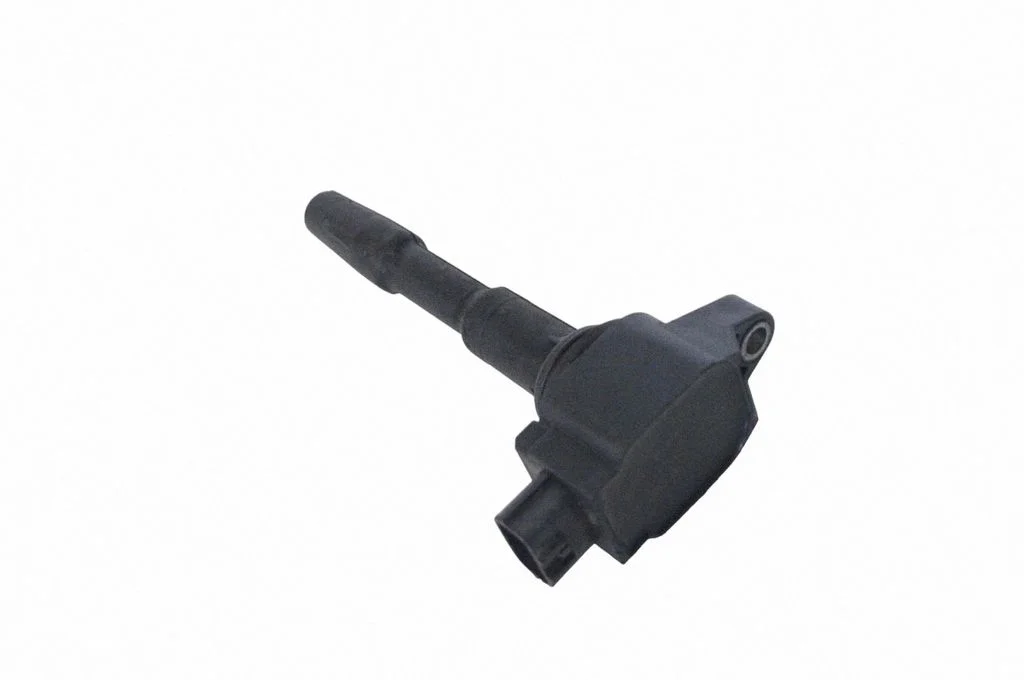 High voltage ignition coil 224332428R