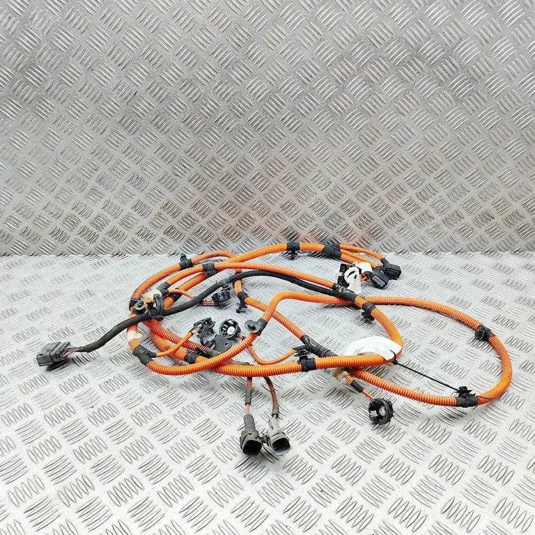 Mootori juhtmestik 9841284280
