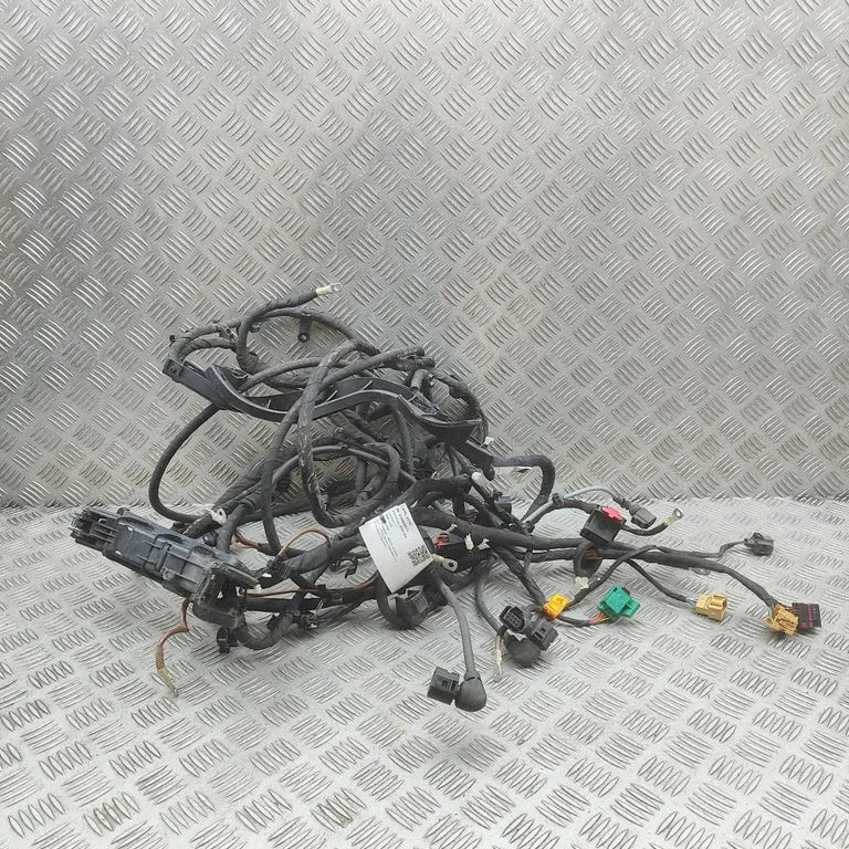 Engine installation wiring loom 1EA971445