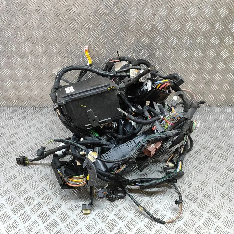 Engine installation wiring loom 9861055680