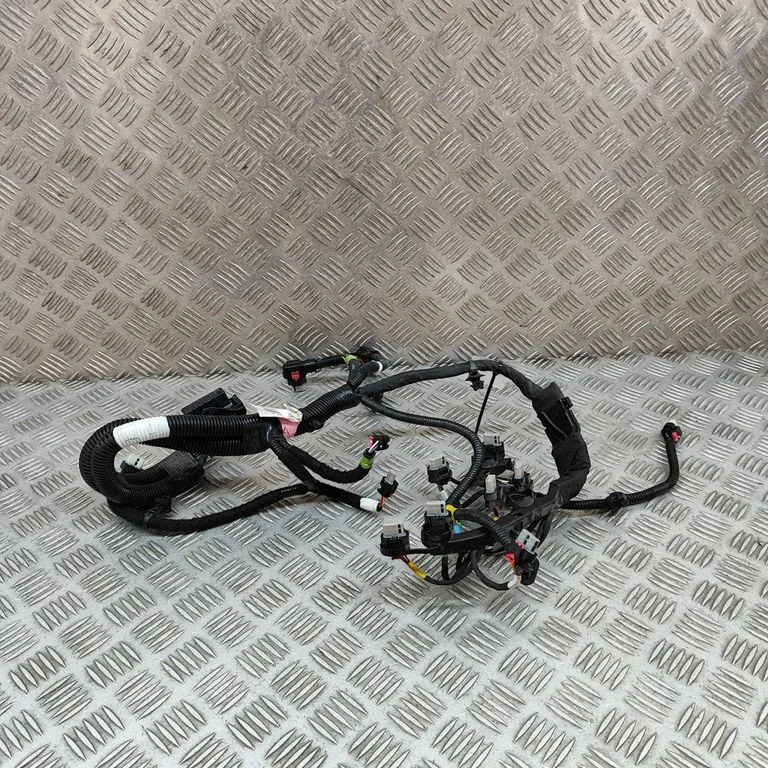 Engine installation wiring loom P206876700C