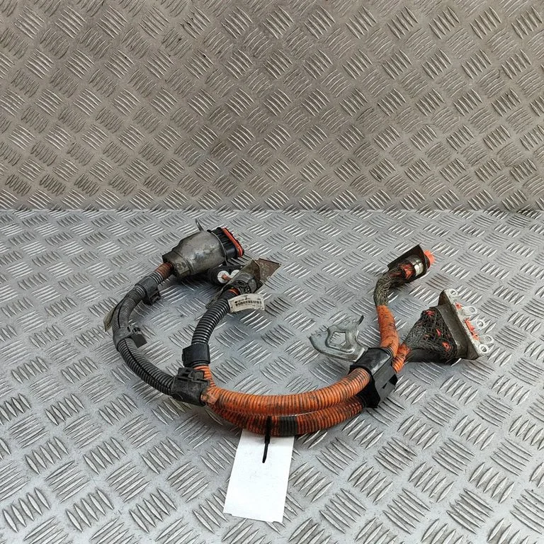 Wiązka silnika G214847051