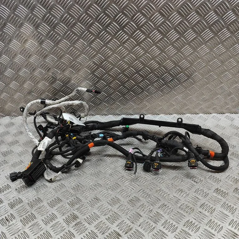 Motora vadu instalācija 311643