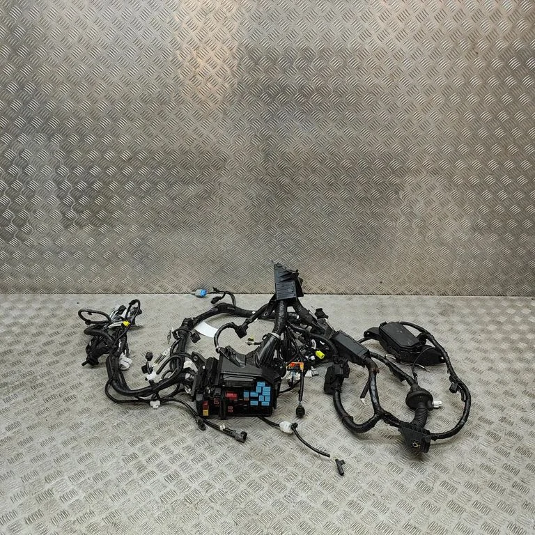 Wiązka silnika 82644V2020