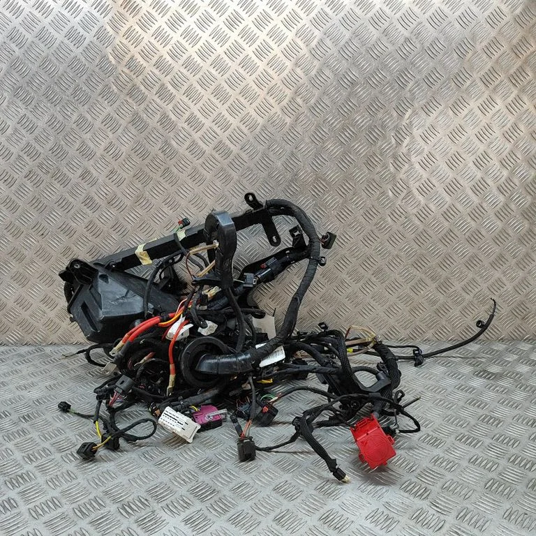 Motora vadu instalācija A2955401815