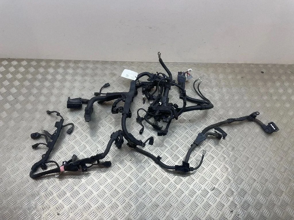 Mootori juhtmestik 8212133F11 – Lexus ES VII XZ10 (2018-2021)