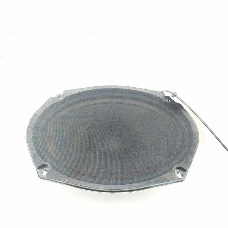 Rear door speaker