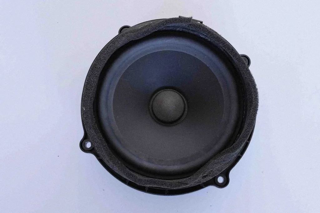 Skaļrunis (-ņi) aizmugurējās durvīs BH2218808EA
