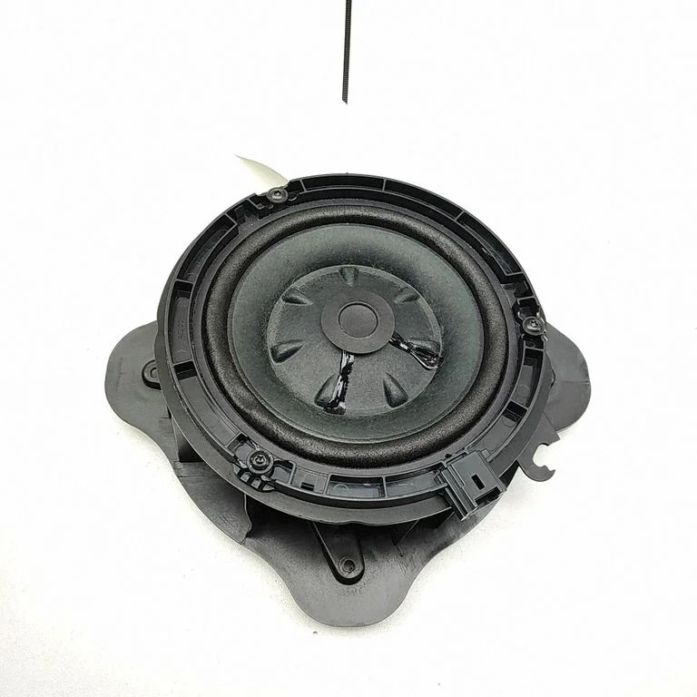 Rear door speaker 9836069580