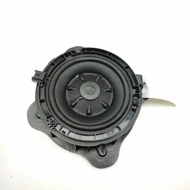 Rear door speaker 9836069680