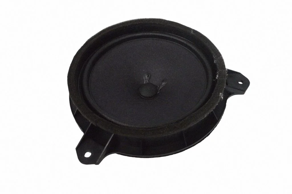 Tagaukse kõlar(id) 15300028110101