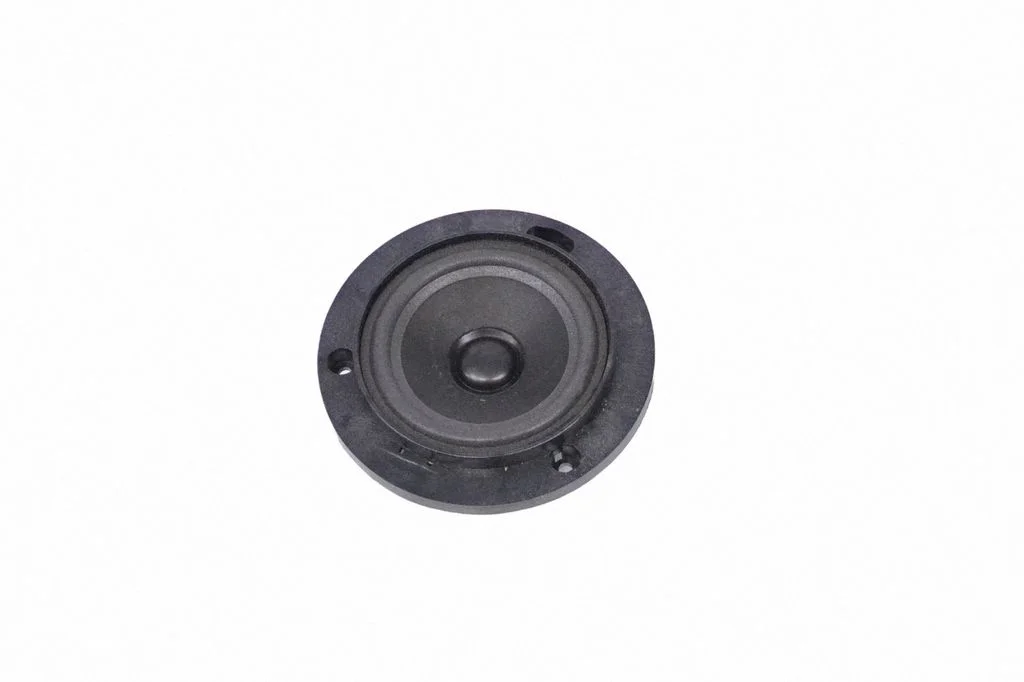 Rear door speaker XQM000250