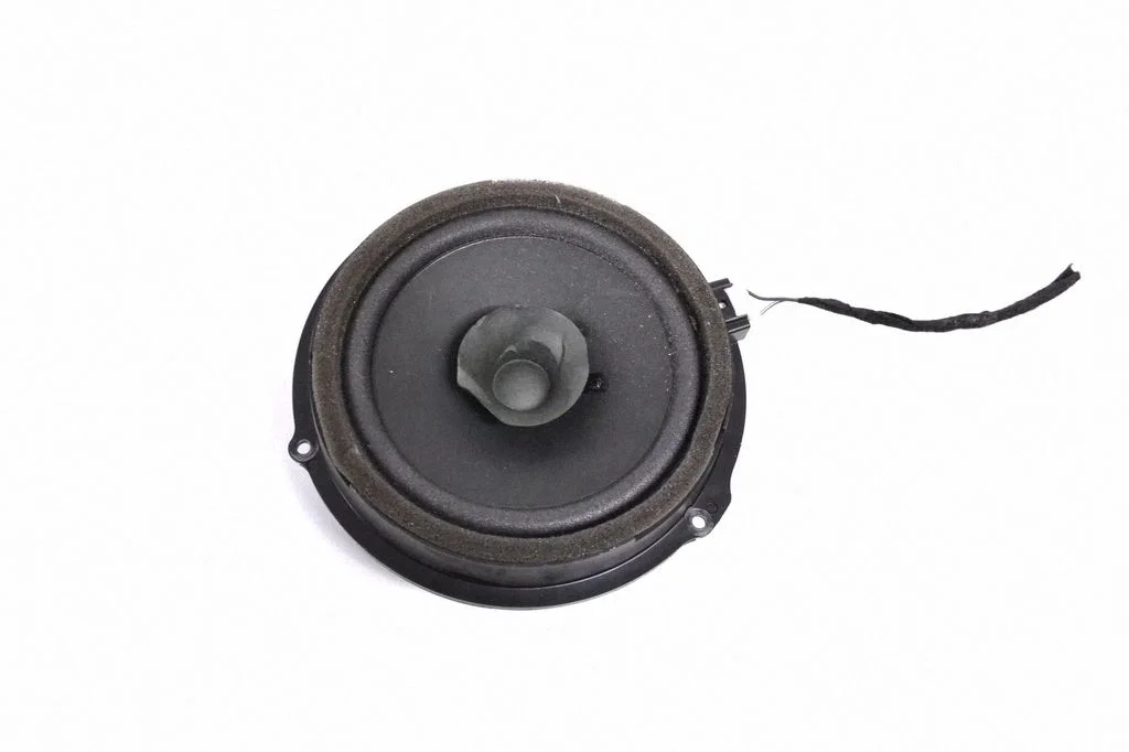 Skaļrunis (-ņi) aizmugurējās durvīs AA6T18808CA