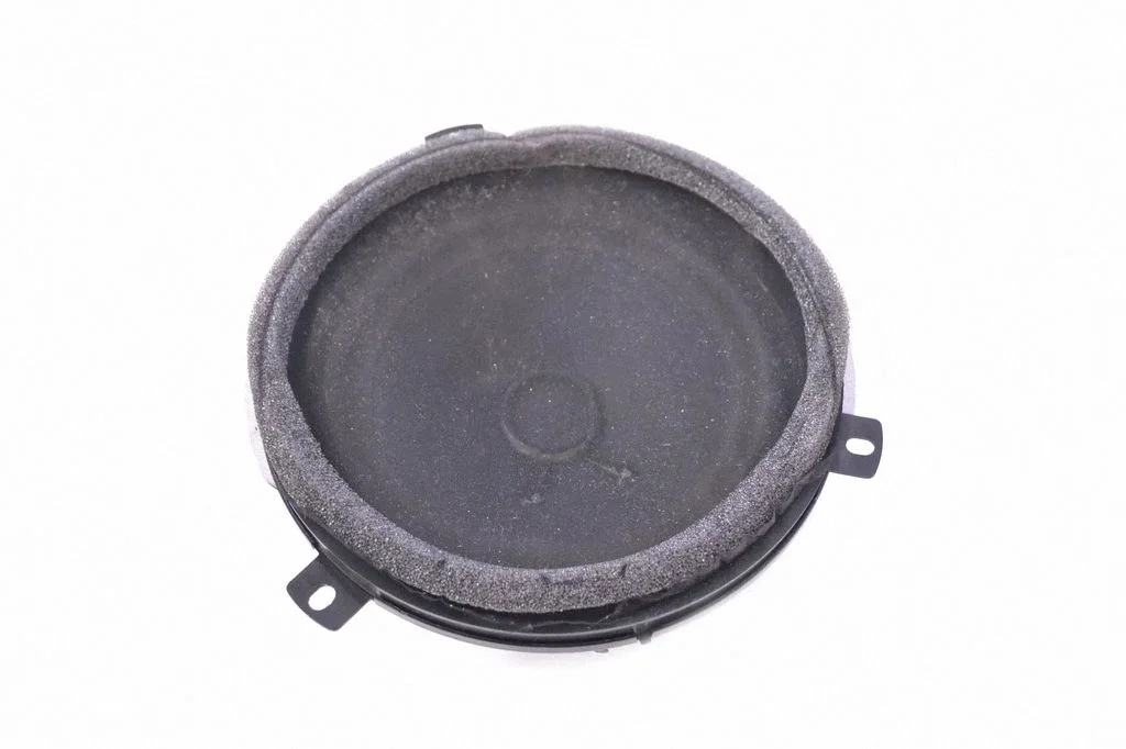 Rear door speaker