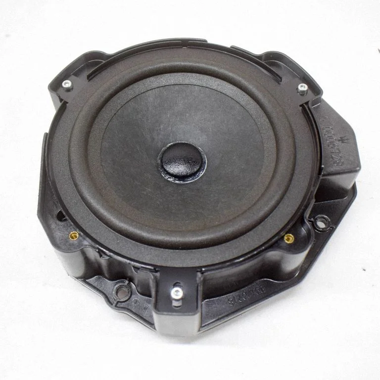 Rear door speaker 41021701