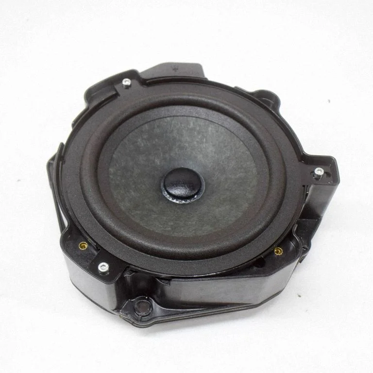 Rear door speaker 670002106