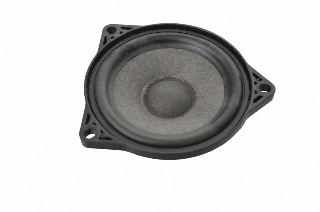 Skaļrunis (-ņi) aizmugurējās durvīs 107974200A